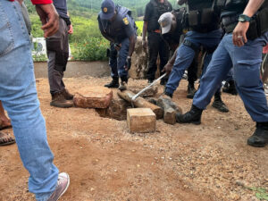 150 Illegals Miner in South Africa